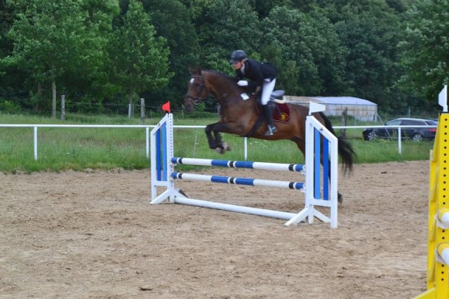 reitertag 2013 128